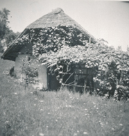 eika image